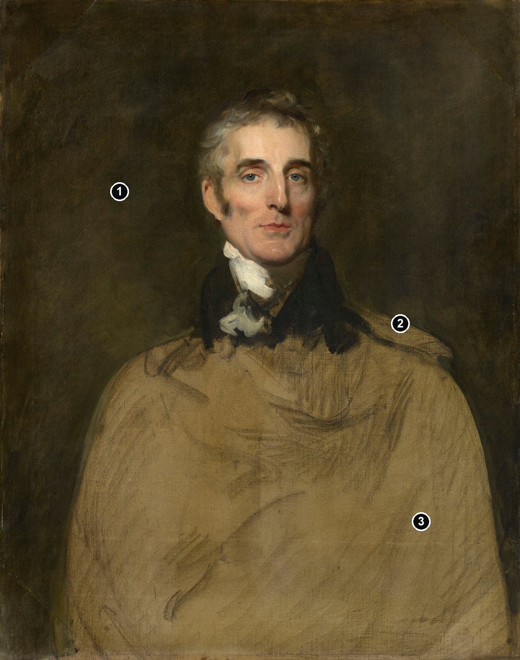 Annotated details from Wellington Unfinished Portrait 1829 by Thomas Lawrence